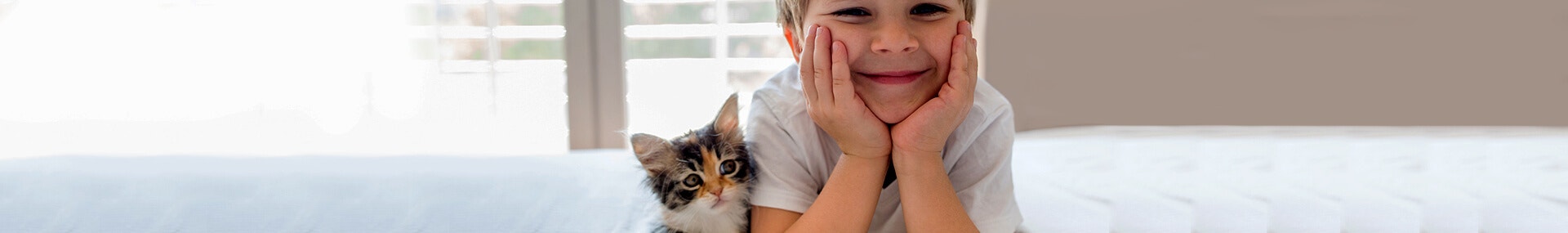 large miau-kennst-du katzen genau-die-katze-fur-kinder erklart