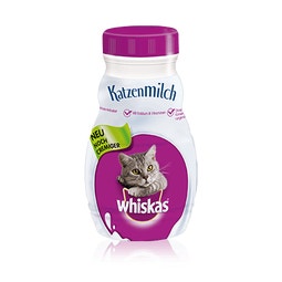 Katzen Milch image