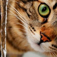 article-1 1632314623830 Image