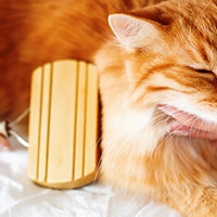 article-2 1632315039252 Image