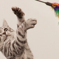 article-3 1632314959270 Image