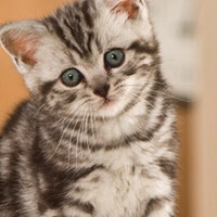 article-5 1632314688391 Image