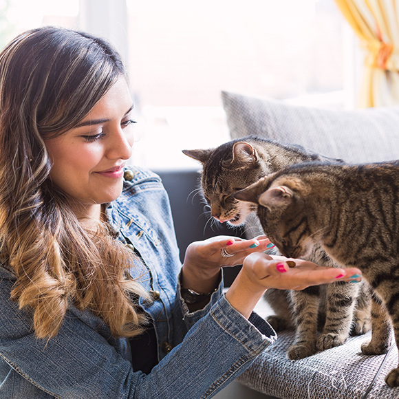 02_Whiskas Artikel_Katzensitter_Small-Image-Left