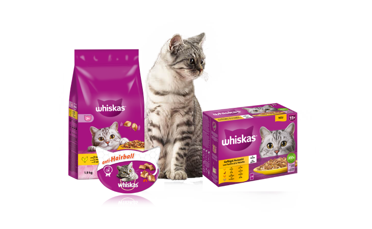 Senior packshot image