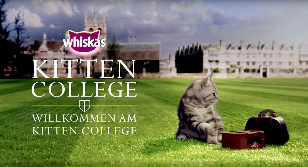 Kitten College Whiskas®