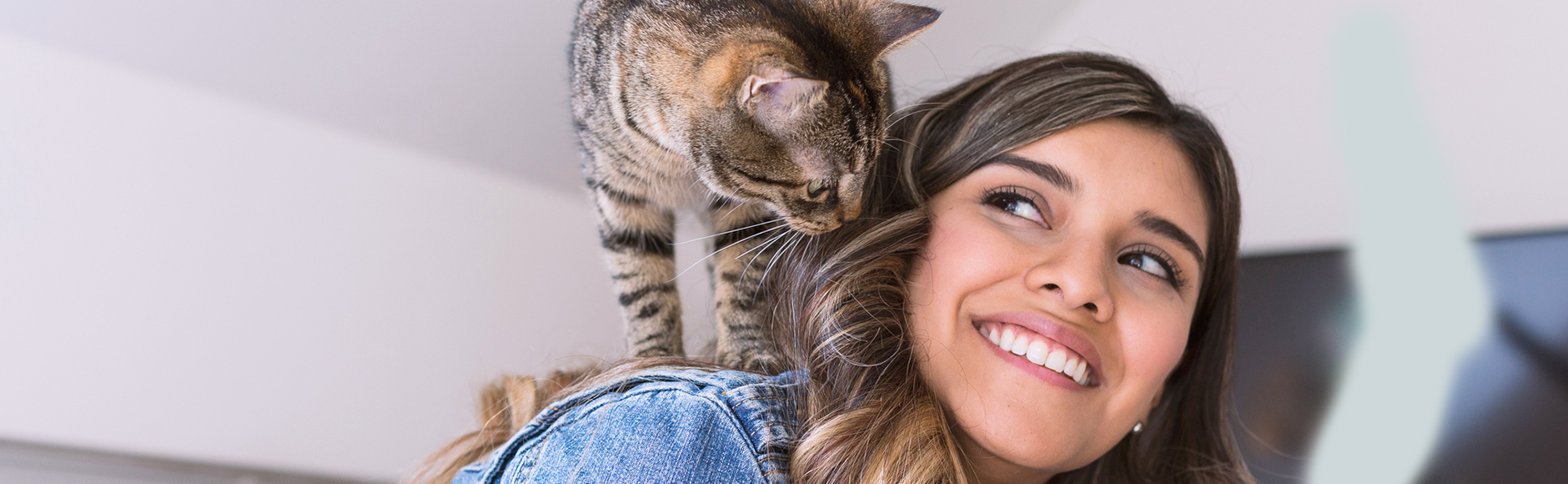 01_MMC_Whiskas_Artikel