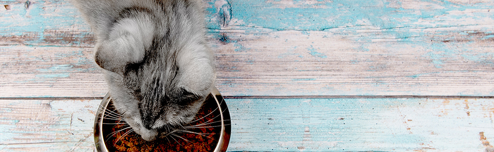 03_Whiskas Sinne-der-Katze